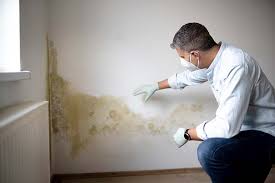 Best Water Damage & Mold Remediation  in Harristown, IL